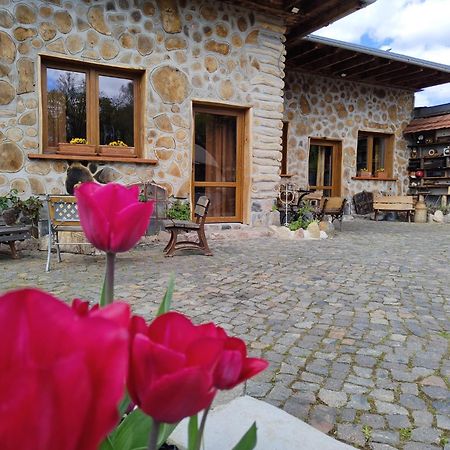 Pokoje Goscinne Skalnik - Agroturystyka Kostrzyn nad Odra Dış mekan fotoğraf