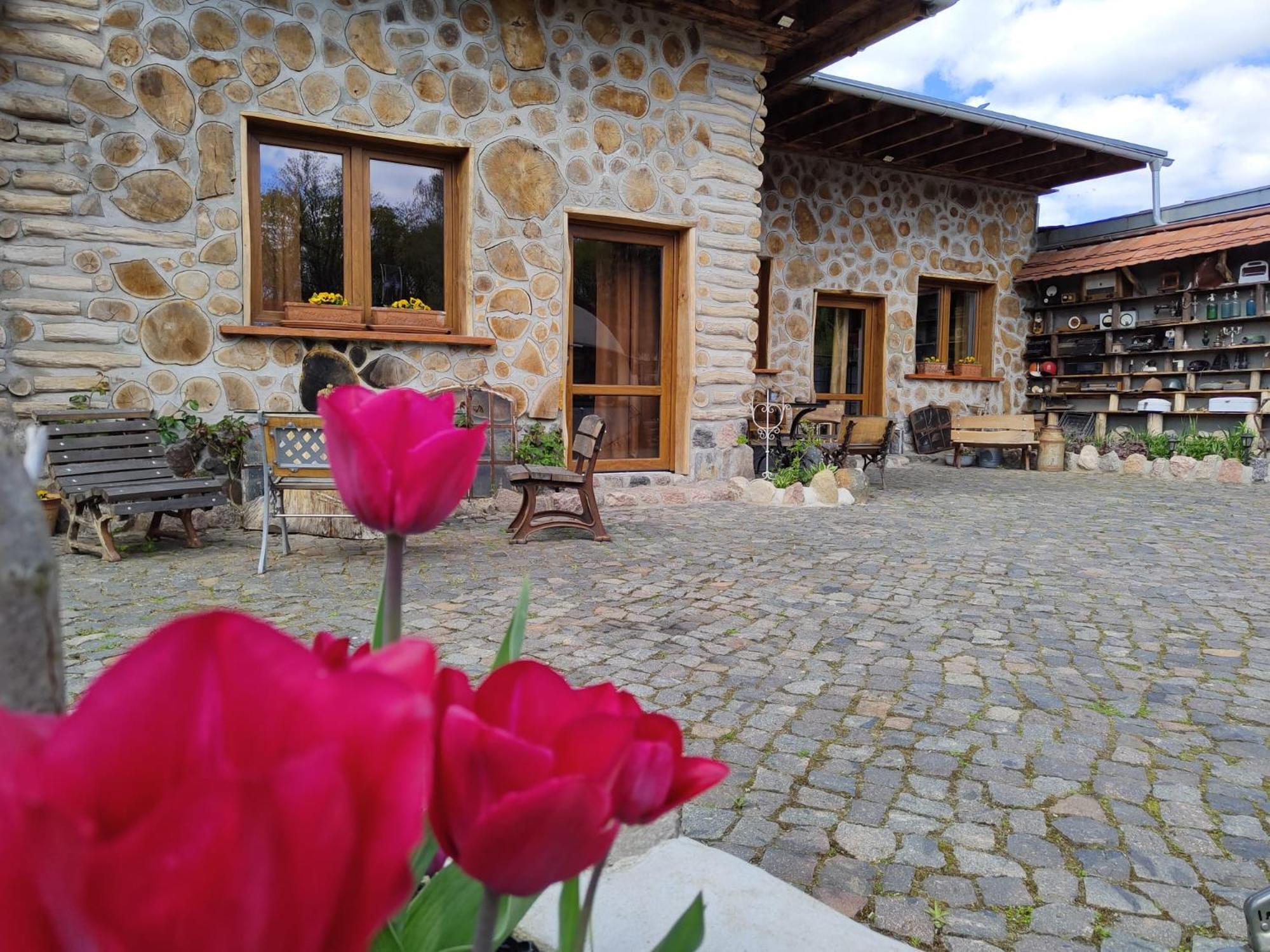 Pokoje Goscinne Skalnik - Agroturystyka Kostrzyn nad Odra Dış mekan fotoğraf