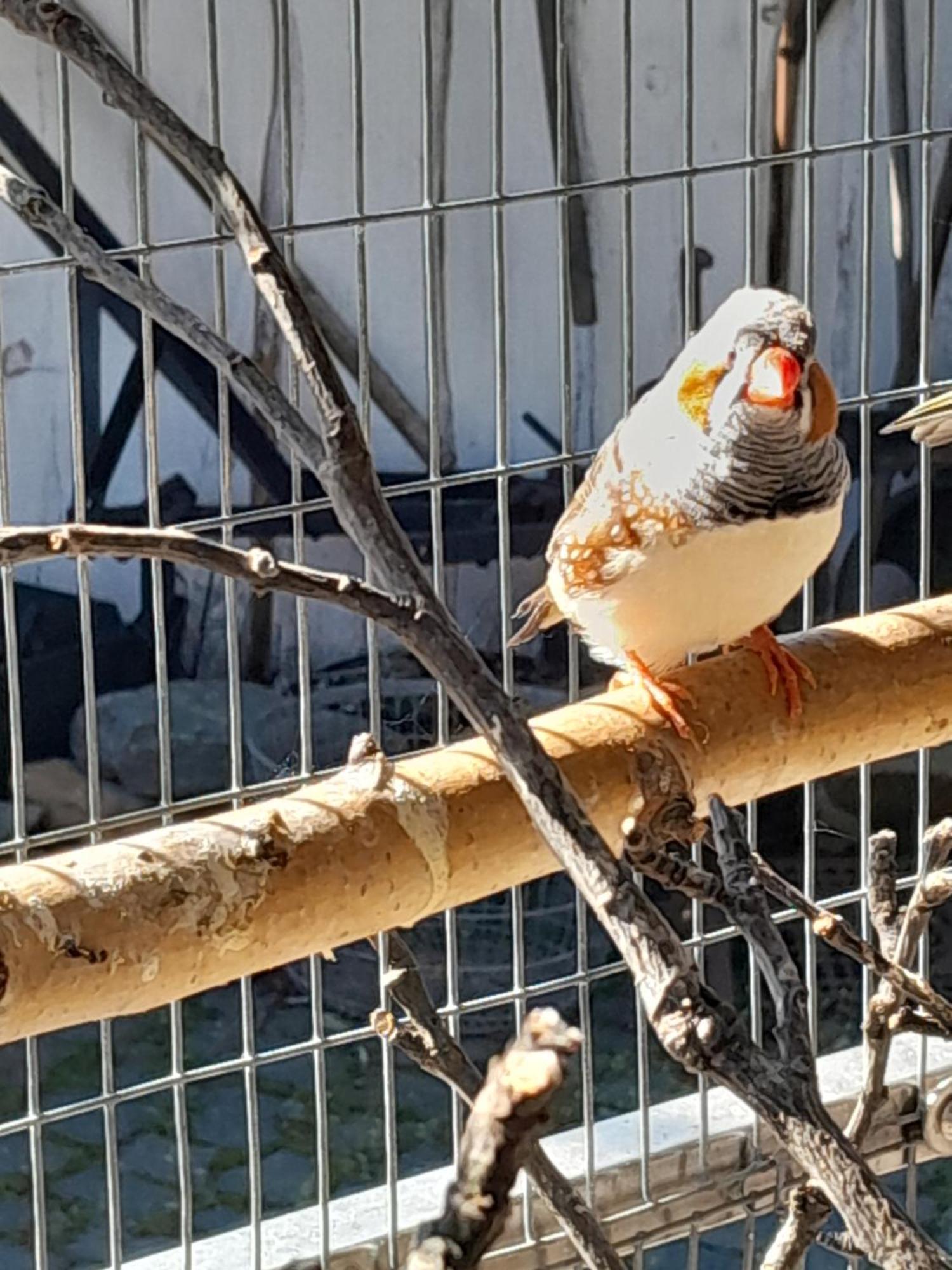 Pokoje Goscinne Skalnik - Agroturystyka Kostrzyn nad Odra Dış mekan fotoğraf