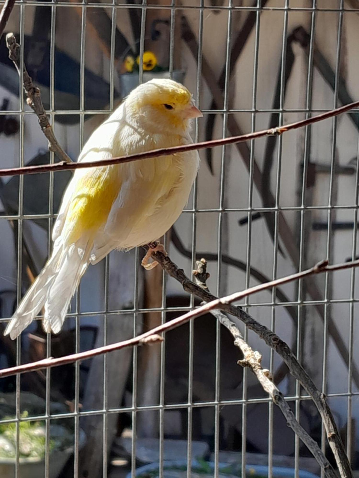Pokoje Goscinne Skalnik - Agroturystyka Kostrzyn nad Odra Dış mekan fotoğraf
