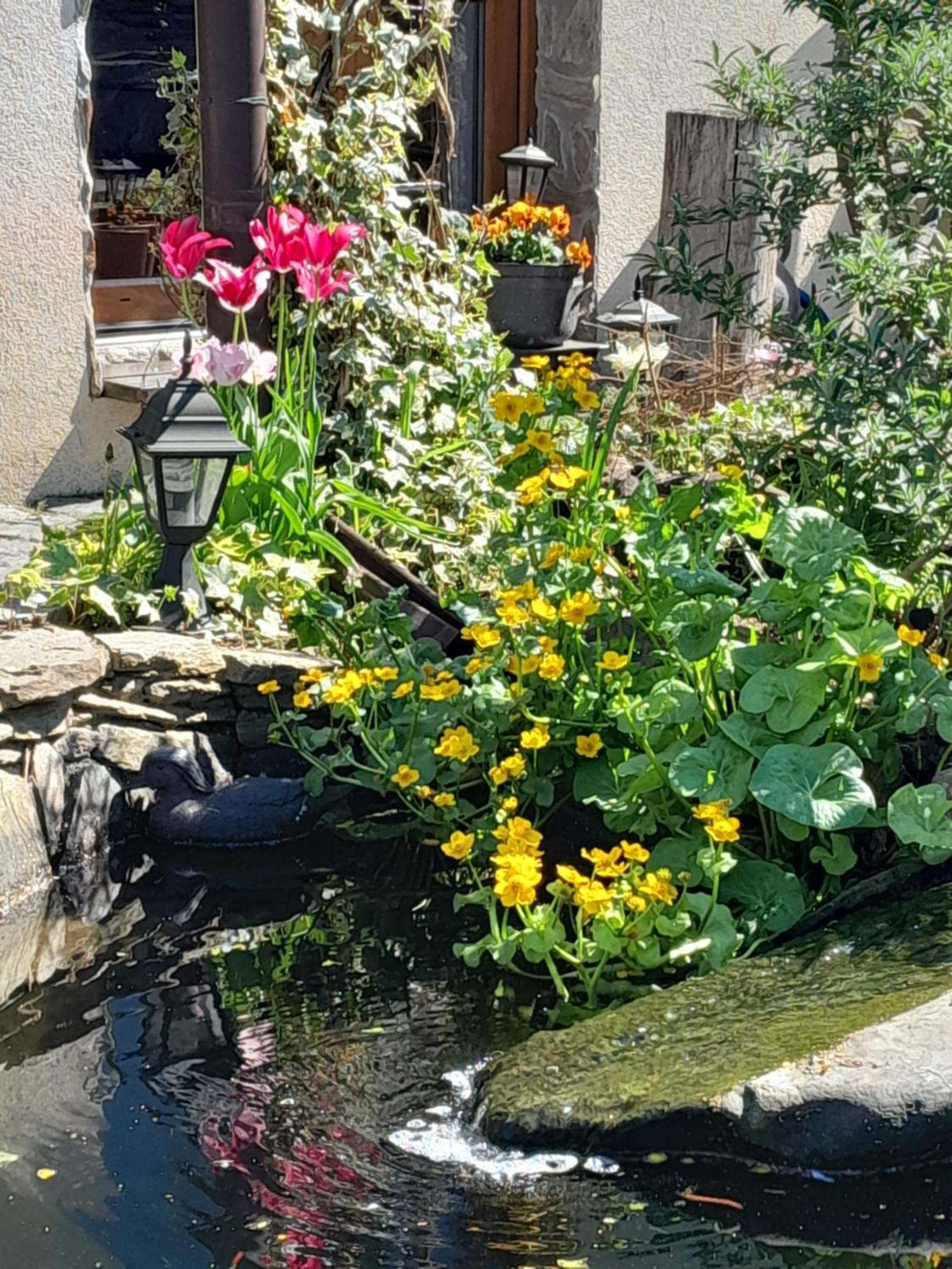 Pokoje Goscinne Skalnik - Agroturystyka Kostrzyn nad Odra Dış mekan fotoğraf
