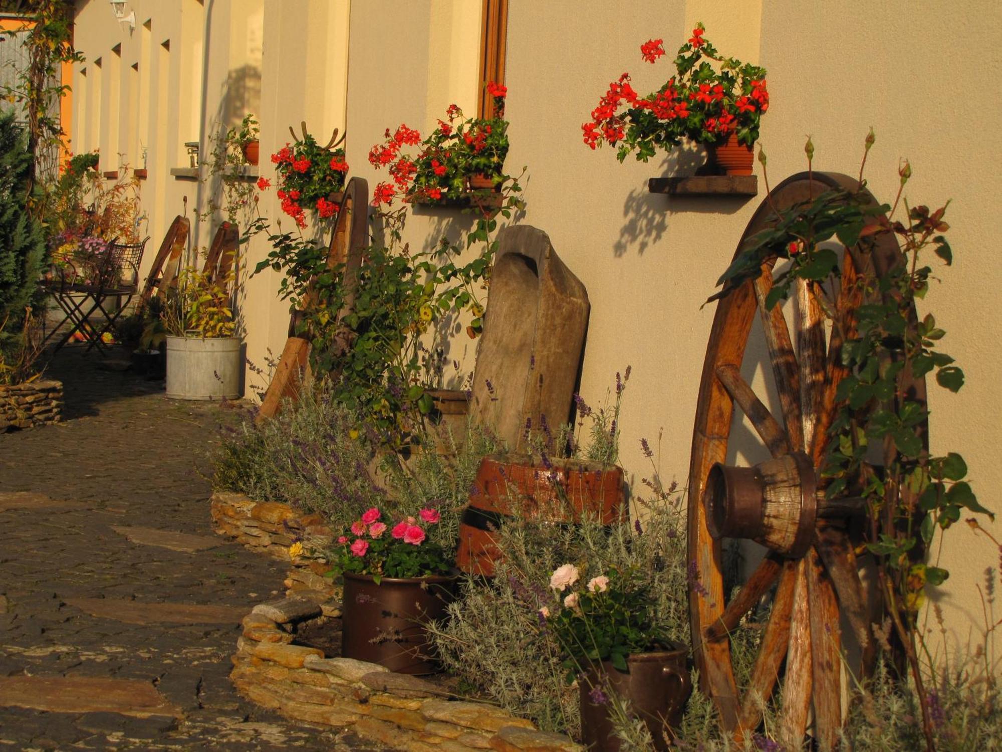 Pokoje Goscinne Skalnik - Agroturystyka Kostrzyn nad Odra Dış mekan fotoğraf