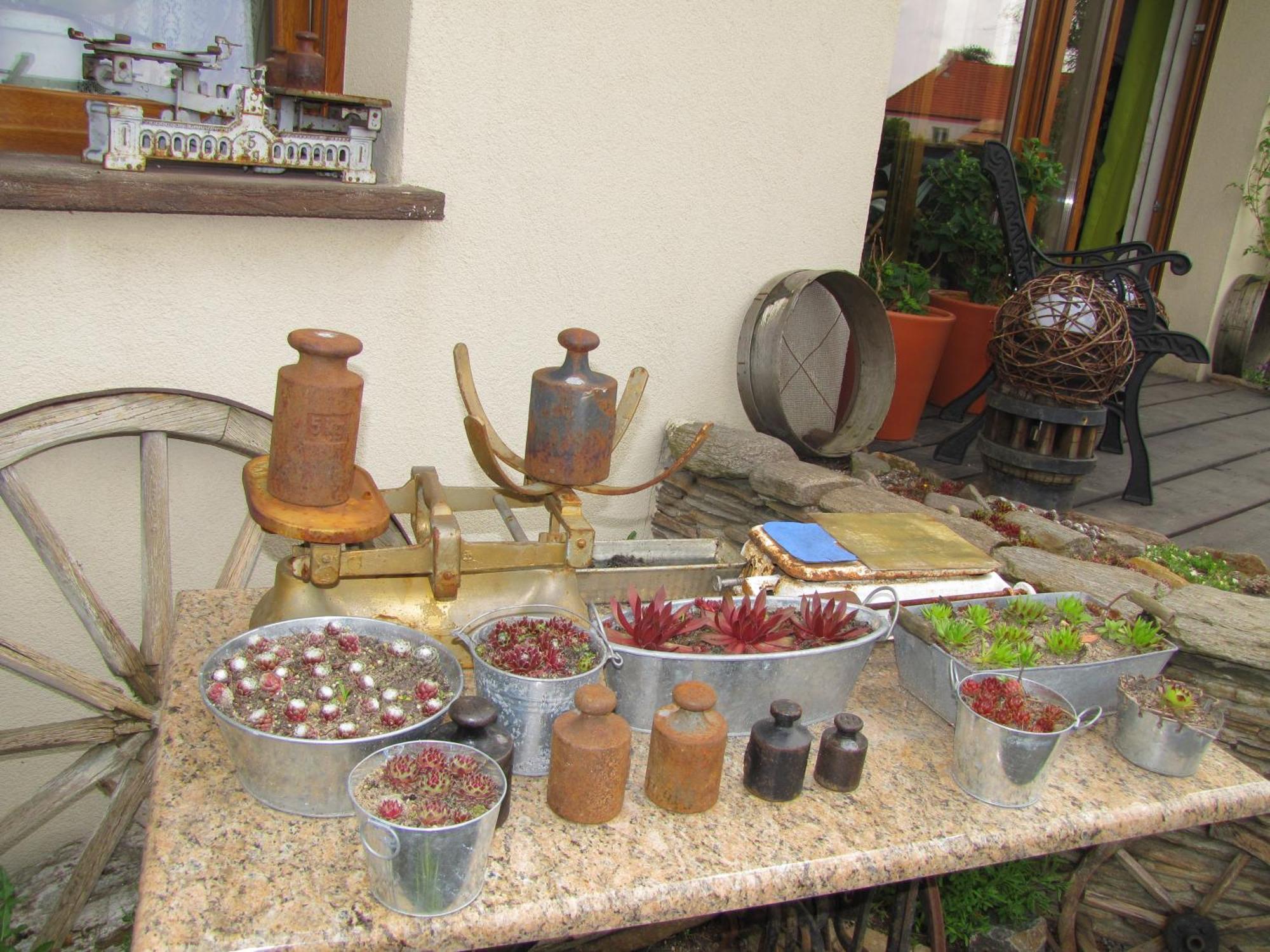 Pokoje Goscinne Skalnik - Agroturystyka Kostrzyn nad Odra Dış mekan fotoğraf